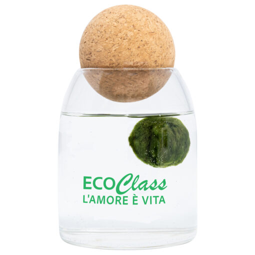 marimo family singolo